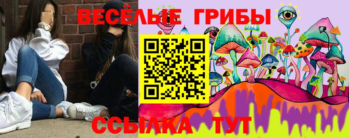 Луга  Галлюциногенные грибы ЛСД  Вход с VPN 